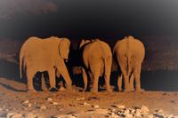 Okaukuejo Camp - abends am Wasserloch