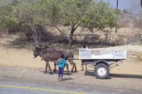 Unterwegs im Caprivi-Streifen