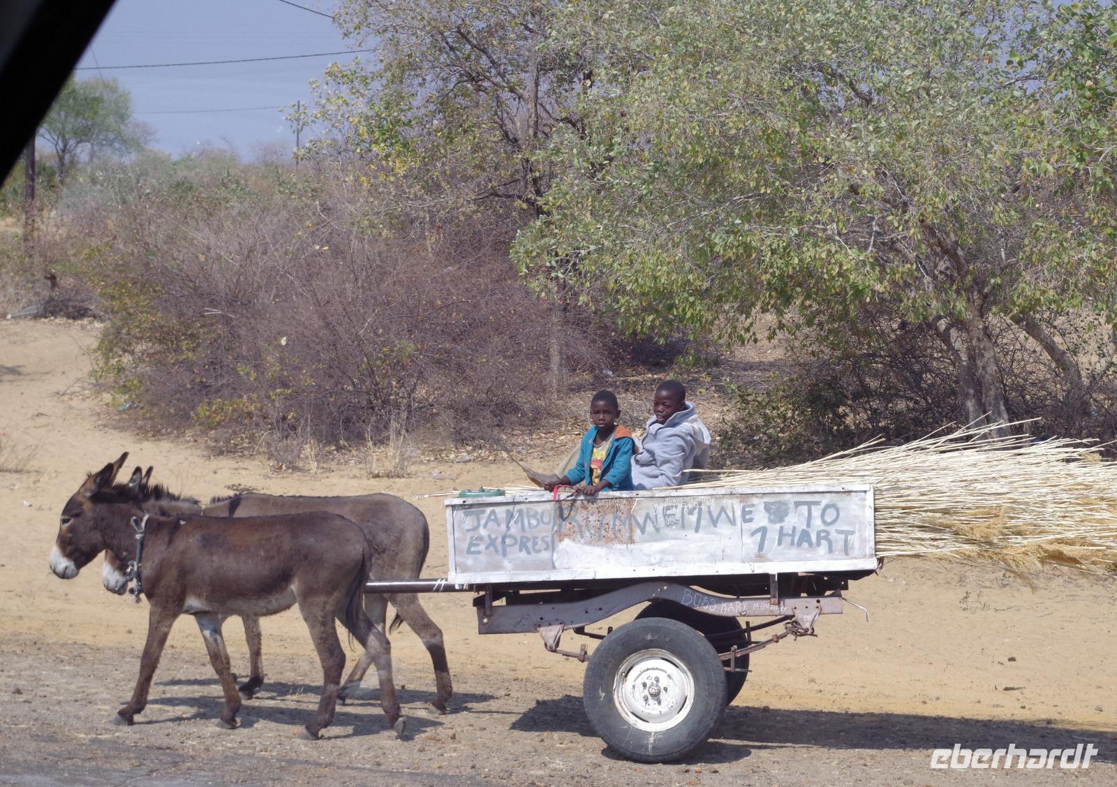 Unterwegs im Caprivi-Streifen - Kalahari-Ferrari