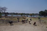 Unterwegs im Caprivi-Streifen