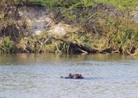 Bootsfahrt auf dem Kavango