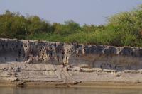 Bootsfahrt auf dem Kavango