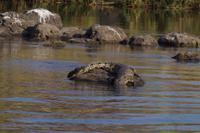 Bootsfahrt auf dem Kavango