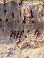 Bootsfahrt auf dem Kavango