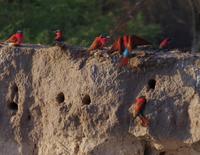 Bootsfahrt auf dem Kavango