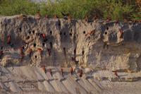 Bootsfahrt auf dem Kavango