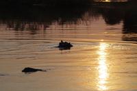 Sundowner an den Popa-Fällen