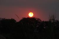 Sundowner an den Popa-Fällen