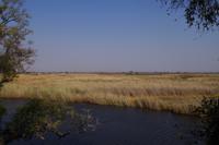 Bootsfahrt auf dem Kwando