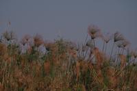 Bootsfahrt auf dem Kwando