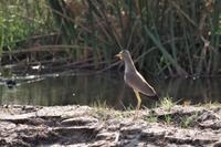 Bootsfahrt auf dem Kwando