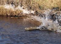 Bootsfahrt auf dem Kwando