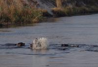 Bootsfahrt auf dem Kwando