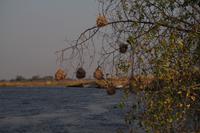 Bootsfahrt auf dem Kwando