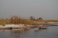 Bootsfahrt auf dem Kwando