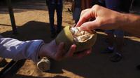Besuch im lebenden Museum - Baobab-Frucht