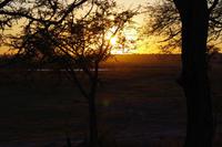Chobe River Camp - Sonnenaufgang