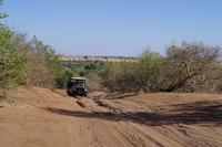 Morgendliche Pirschfahrt im Chobe-Nationalpark