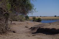 Morgendliche Pirschfahrt im Chobe-Nationalpark