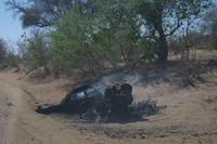 Morgendliche Pirschfahrt im Chobe-Nationalpark - Elefanten-Braai