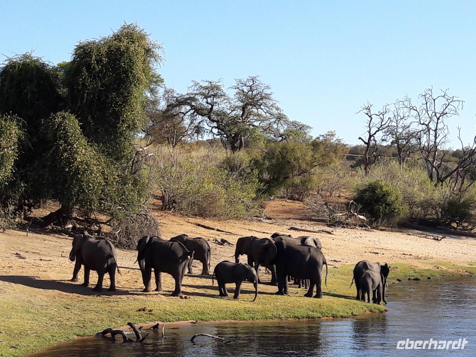 Bootsfahrt am den Chobe am Nachmittag