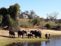 Bootsfahrt am den Chobe am Nachmittag