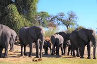Bootsfahrt am den Chobe am Nachmittag
