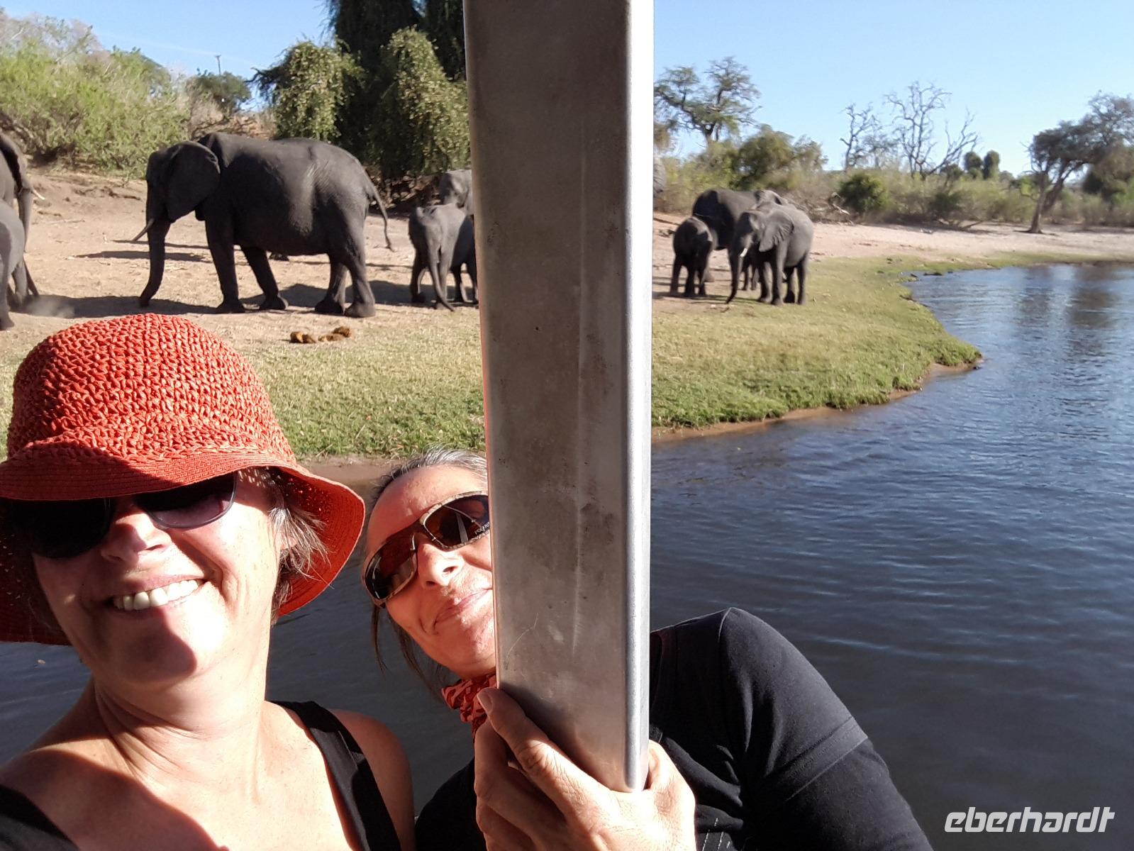 Bootsfahrt am den Chobe am Nachmittag