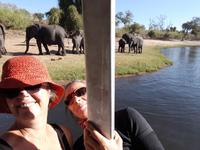 Bootsfahrt am den Chobe am Nachmittag