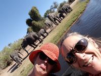 Bootsfahrt am den Chobe am Nachmittag