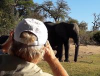 Bootsfahrt am den Chobe am Nachmittag