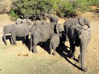 Bootsfahrt am den Chobe am Nachmittag