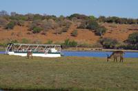 Bootsfahrt am den Chobe am Nachmittag