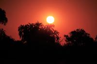 Sonnenuntergang am Chobe