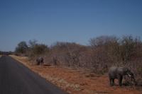 Unterwegs nach Simbabwe