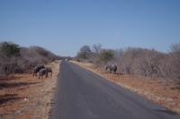 Unterwegs nach Simbabwe