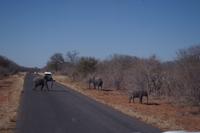 Unterwegs nach Simbabwe