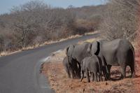 Unterwegs nach Simbabwe