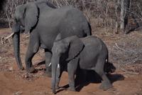 Unterwegs nach Simbabwe