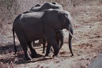 Unterwegs nach Simbabwe