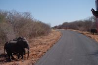 Unterwegs nach Simbabwe