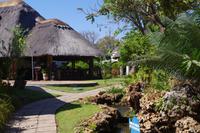 A Zambezi River Lodge