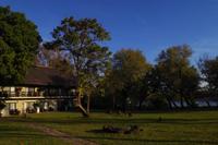 A Zambezi River Lodge
