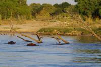 Bootsfahrt auf dem Zambezi