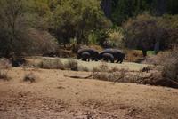 Mount Etjo Lodge (2)