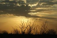 Jeepsafari Etosha Park. (21)