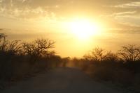 Jeepsafari Etosha Park. (22)