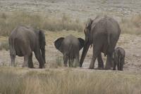 Etosha Nationalpark (24)