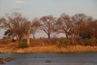 Bootssafari. Kavango (3)