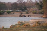 Bootssafari. Kavango (5)